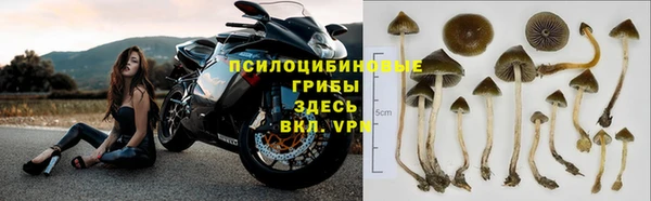 MDMA Premium VHQ Горнозаводск