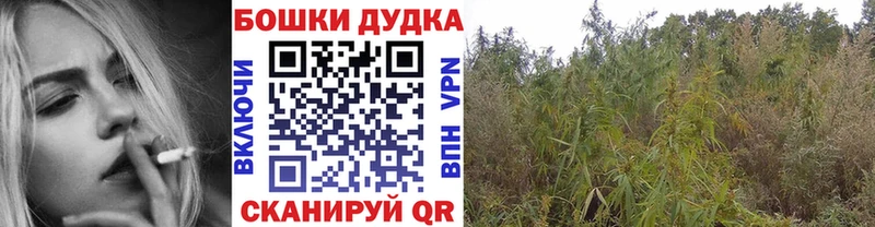 Бошки Шишки MAZAR Купить закладки Кизилюрт